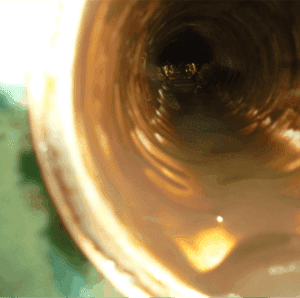 Clean drain pipe after installation of Automatic Drain Cleaning System