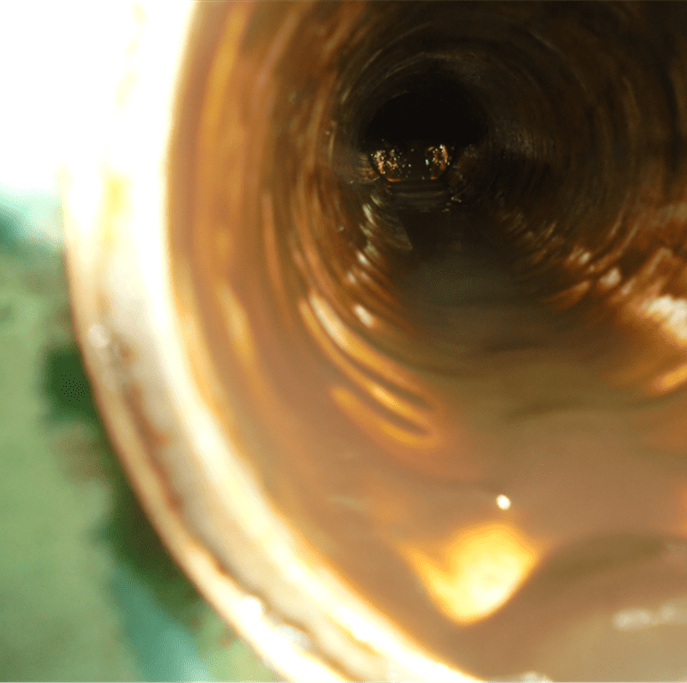 Clean drain pipe after installation of Automatic Drain Cleaning System